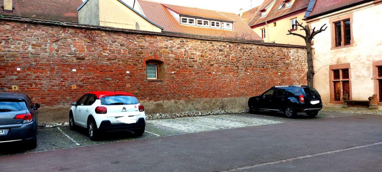 Le Rhenanus Jacques Taurellus - Appartement Duplex Au Calme - Centre Ville - Parking Gratuit Selestat Luaran gambar