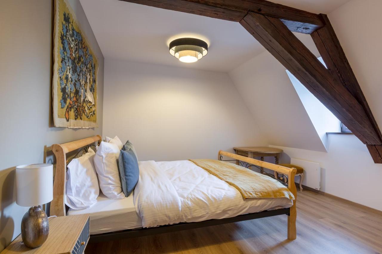 Le Rhenanus Jacques Taurellus - Appartement Duplex Au Calme - Centre Ville - Parking Gratuit Selestat Luaran gambar